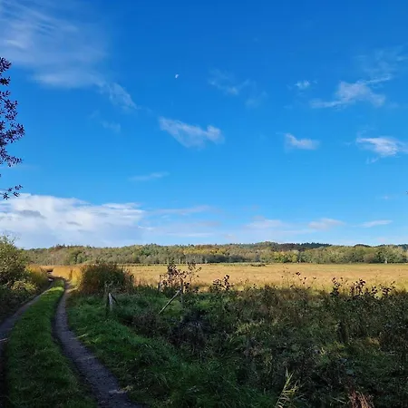4 Person In 度假居