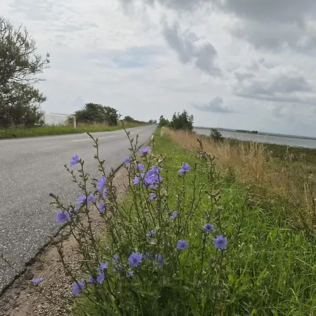 4 Person In 欧德尔